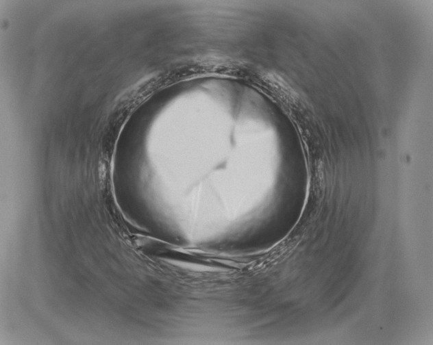 X0000081431302200701261812