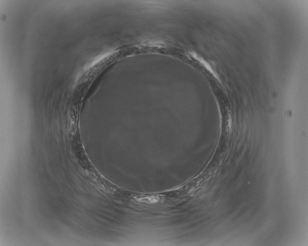 X0000081431303200701261812