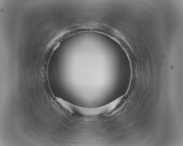 X0000081431304200701261812