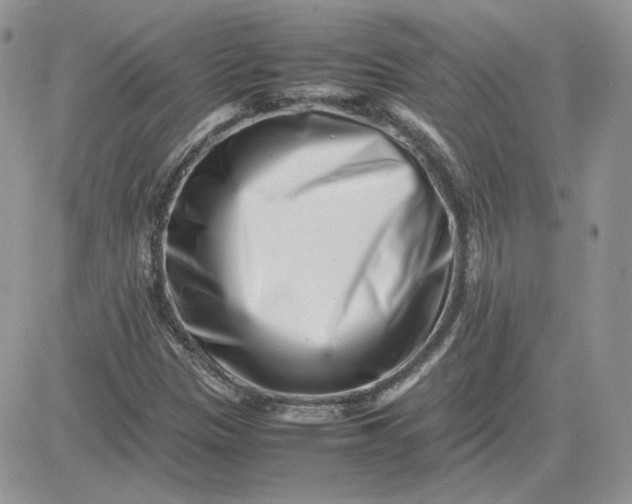 X0000081431305200701261812