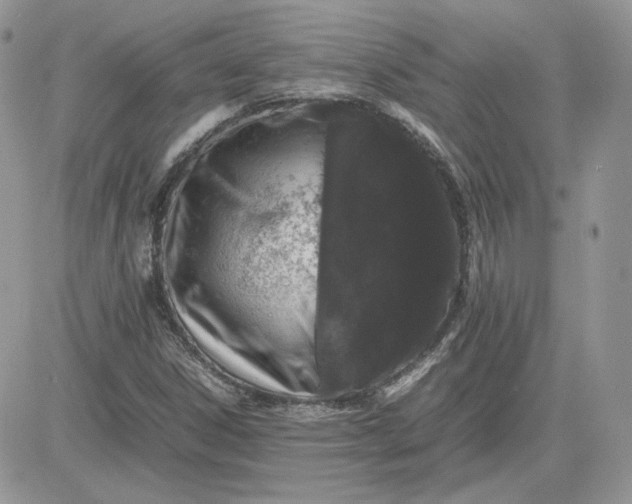 X0000081431306200701261812