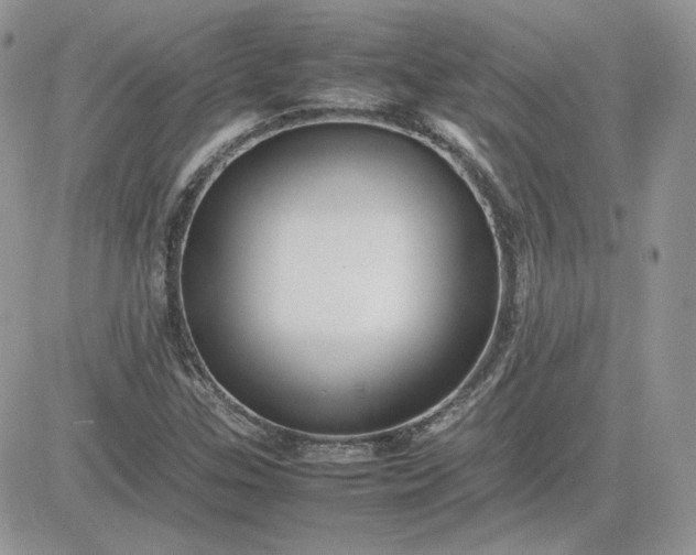 X0000081431307200701261812