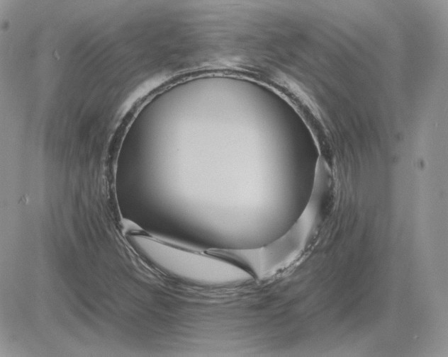 X0000081431308200701261812