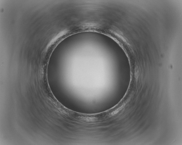 X0000081431309200701261812