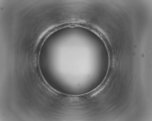 X0000081431310200701261812