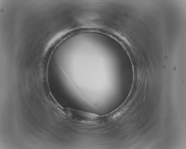 X0000081431311200701261812