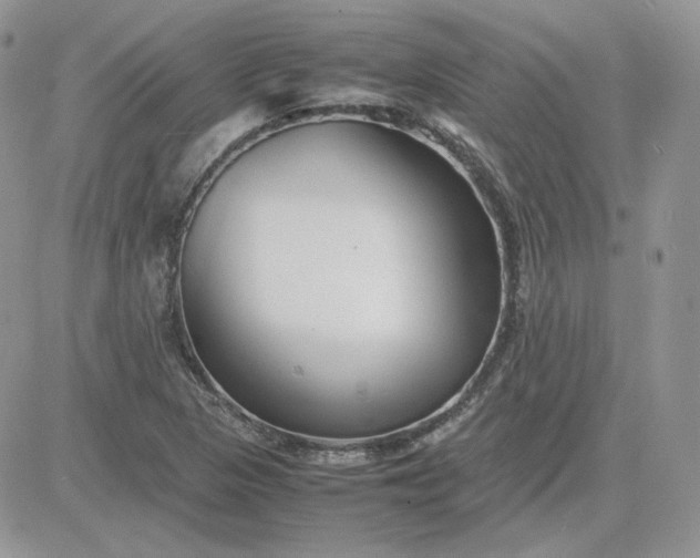 X0000081431313200701261812