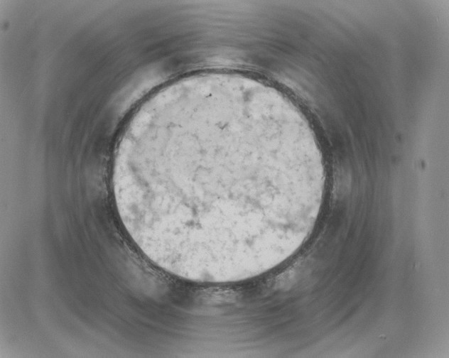 X0000081431314200701261813