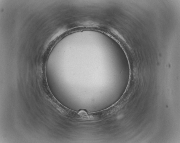 X0000081431315200701261813