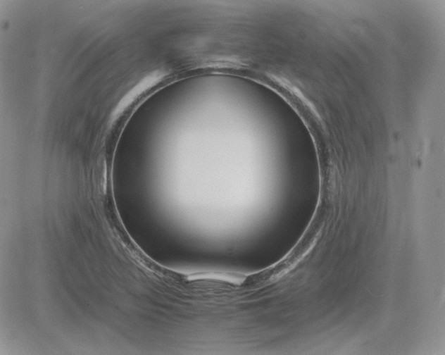 X0000081431317200701261813