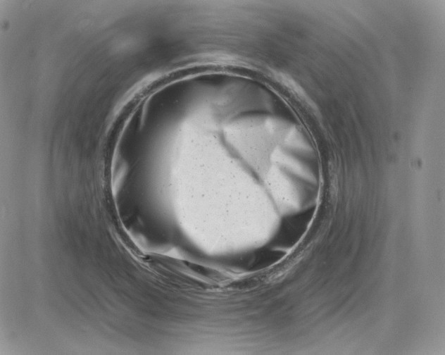 X0000081431318200701261813