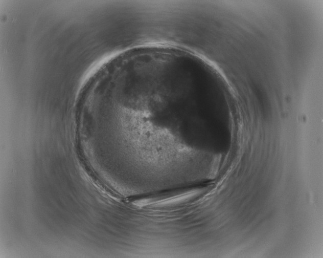 X0000081431319200701261813