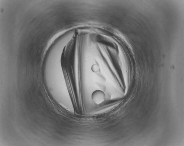 X0000081431320200701261813