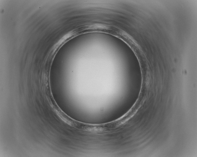 X0000081431321200701261813