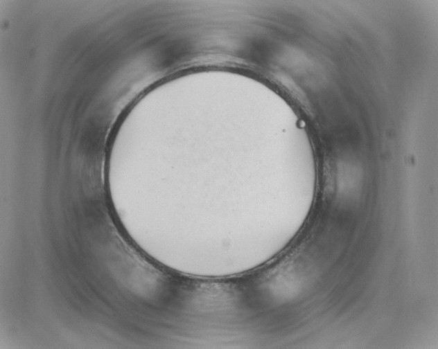 X0000081431322200701261813