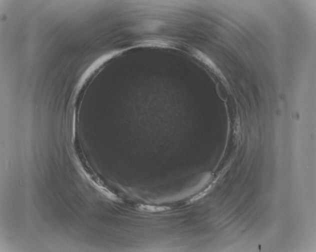 X0000081431323200701261813