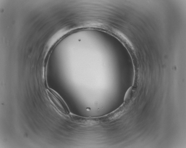 X0000081431324200701261813