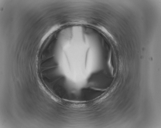 X0000081431325200701261813