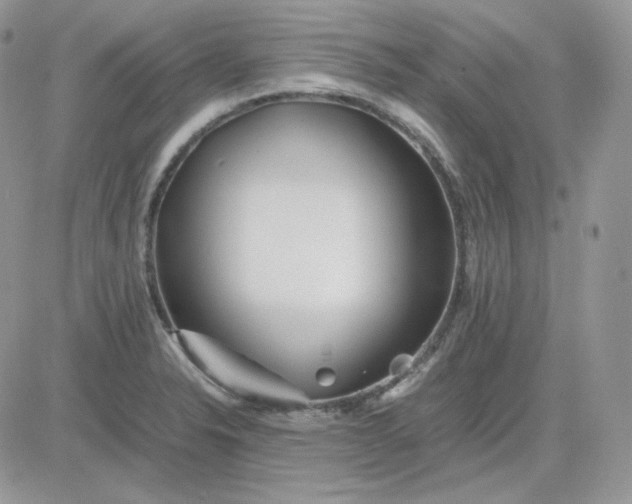 X0000081431326200701261813