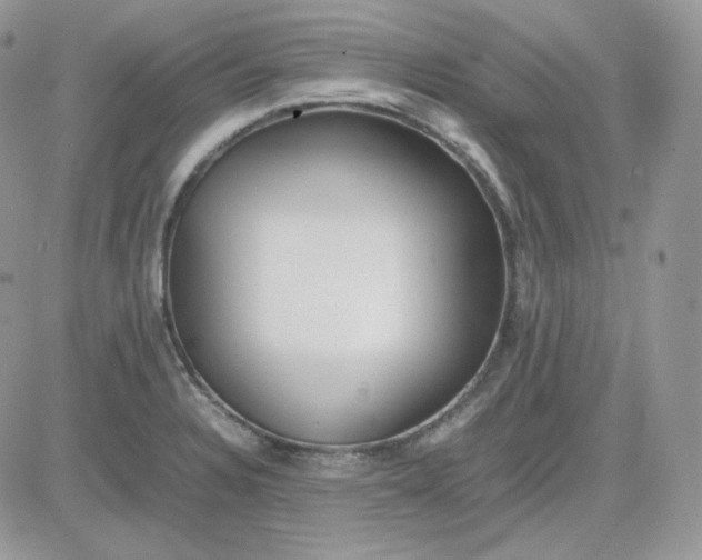 X0000081431328200701261813