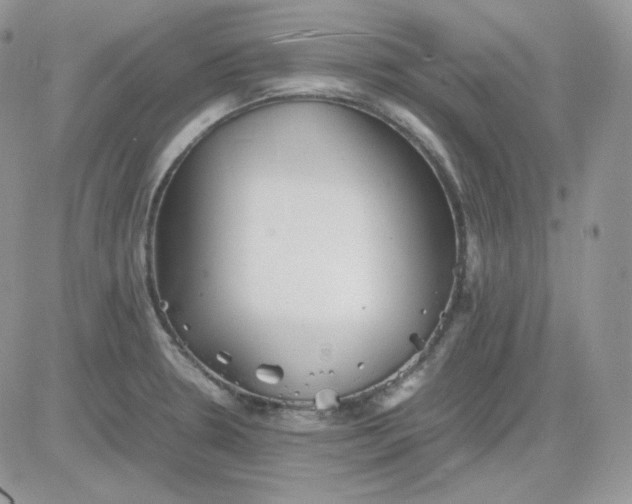 X0000081431330200701261813