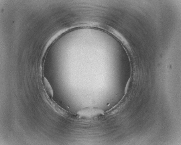 X0000081431332200701261813