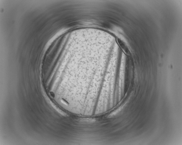 X0000081431333200701261813