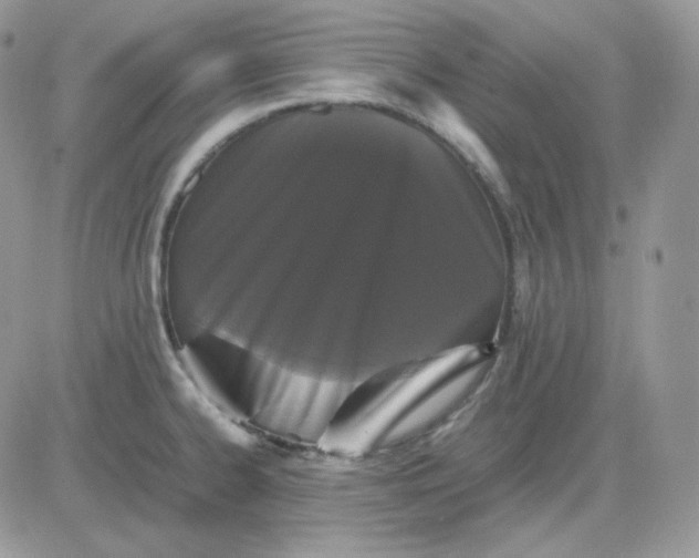 X0000081431334200701261813