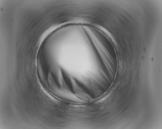 X0000081431335200701261813