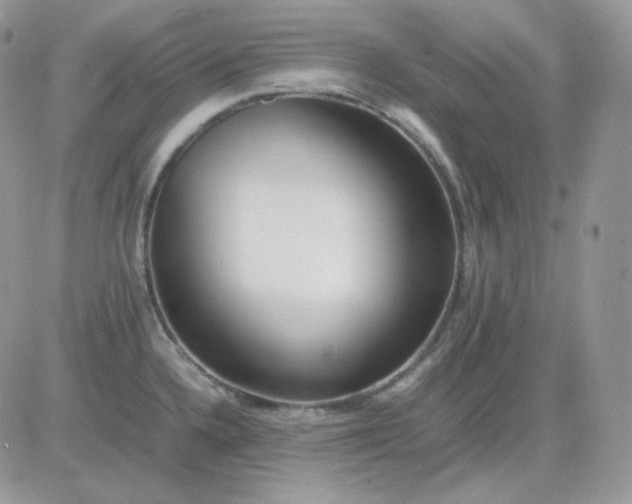 X0000081431336200701261813