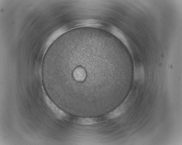 X0000081431338200701261813