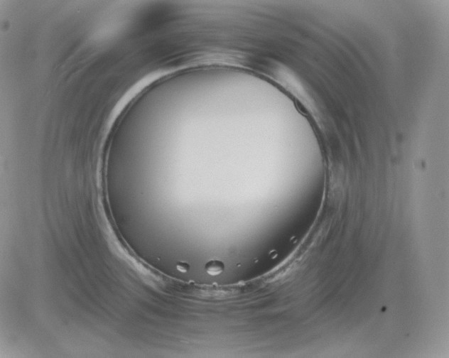 X0000081431339200701261813