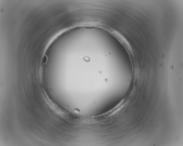 X0000081431340200701261813