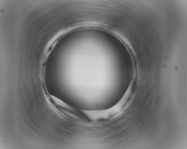 X0000081431342200701261813