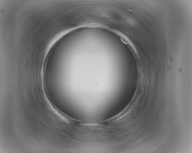 X0000081431343200701261813