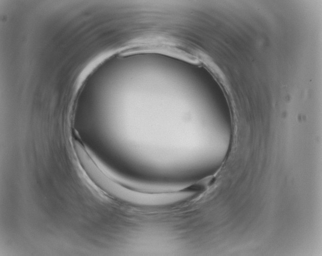 X0000081431344200701261813