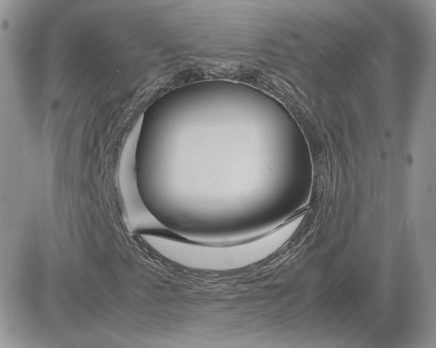 X0000081431345200701261812