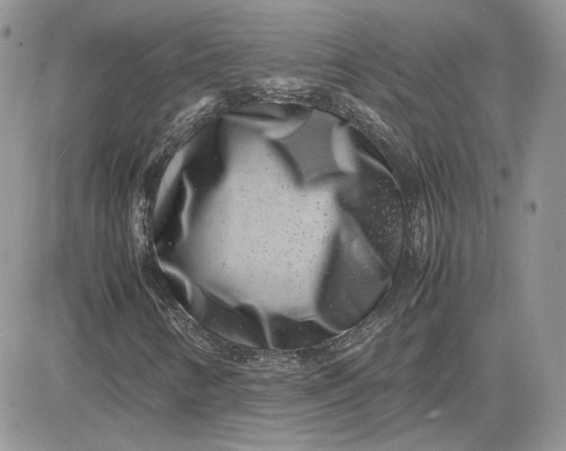 X0000081431346200701261812