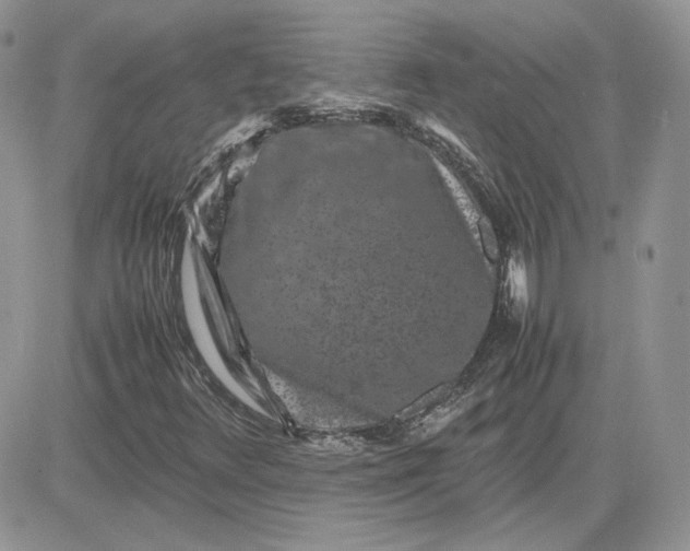 X0000081431348200701261812