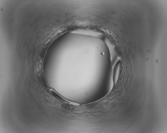 X0000081431349200701261812