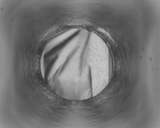 X0000081431350200701261812