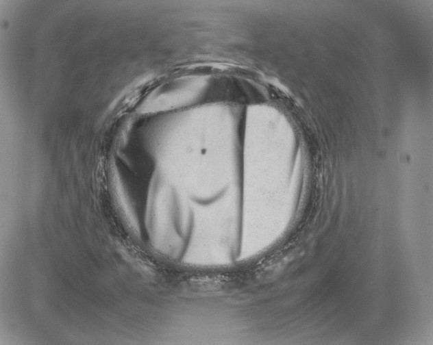 X0000081431351200701261812