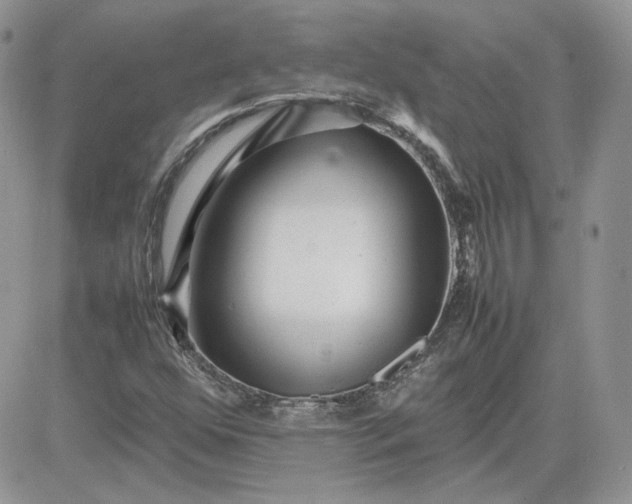 X0000081431352200701261812