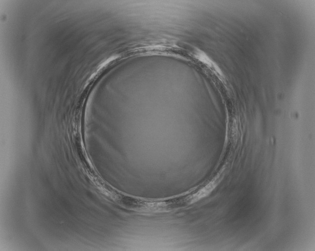 X0000081431353200701261812