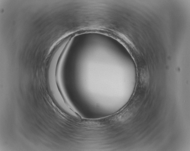 X0000081431356200701261812