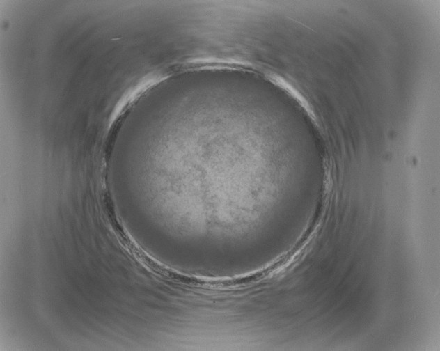 X0000081431357200701261812