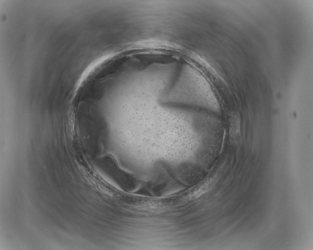 X0000081431358200701261812