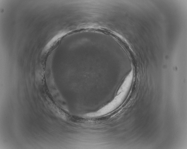 X0000081431359200701261812