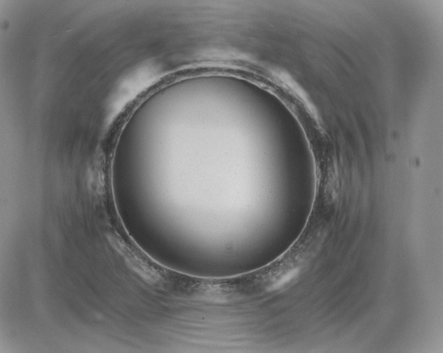 X0000081431360200701261812