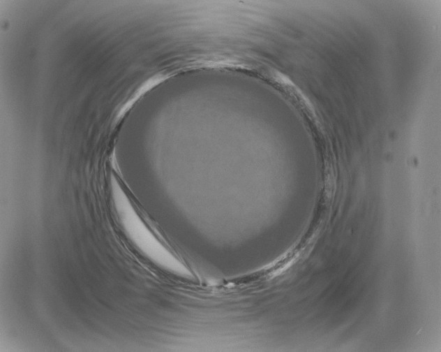 X0000081431361200701261812